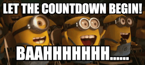 Minions Excited Countdown