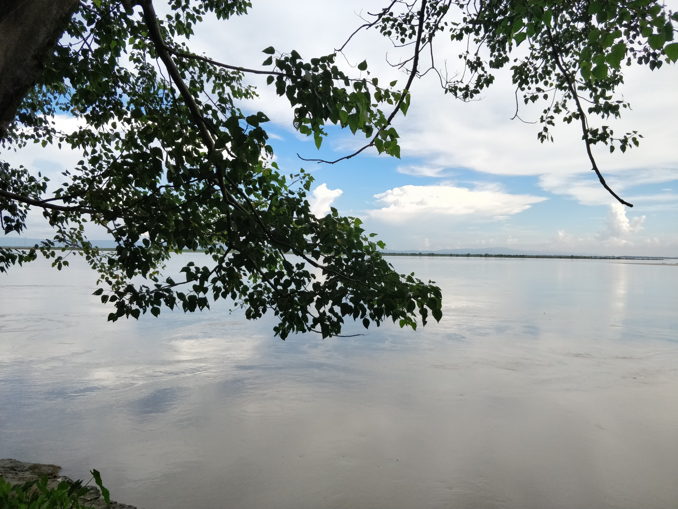 Brahmaputra